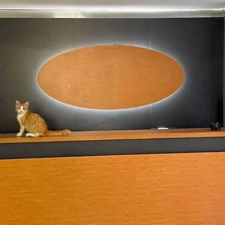 Otel Otağ 3*